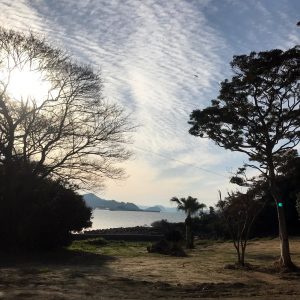アトリエの窓からは福岡・糸島の海が見え、波の音が聞こえてきます。